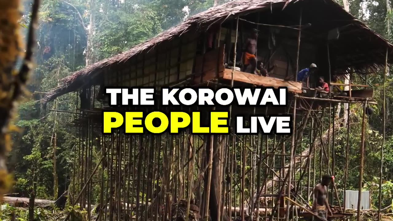 Exploring the Korowai: Life in the Jungle Treeline