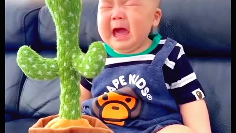 Baby funny crying because of dancing cactus toy