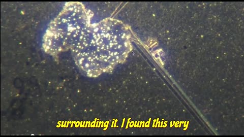 Red Alert, It's in our BLOOD! .......