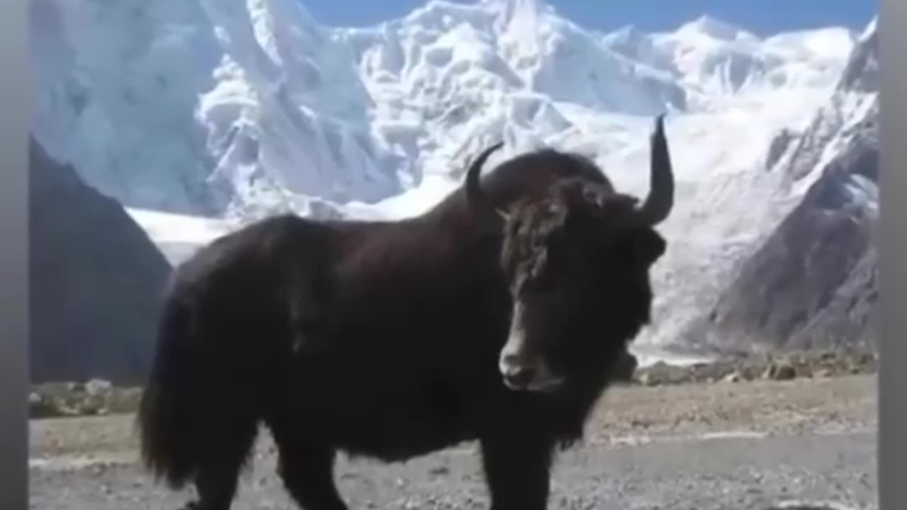 Skardu. 🏔️ Mountain.aftab Iqbal.