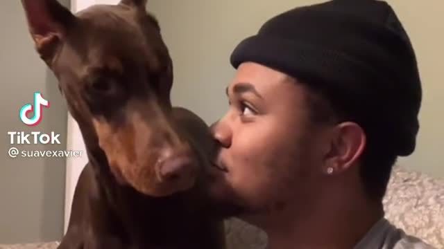 Bark your dog challenge 😆