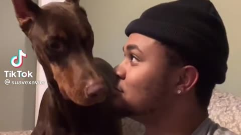 Bark your dog challenge 😆