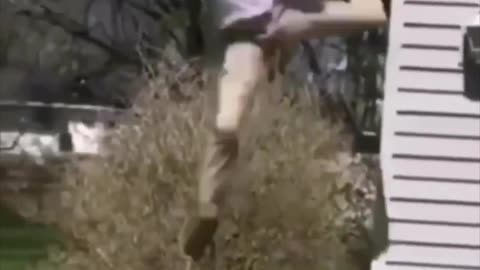 #viral #viral #youtubeshorts #shorts #trendingshorts #trending #instagramtrending #reels
