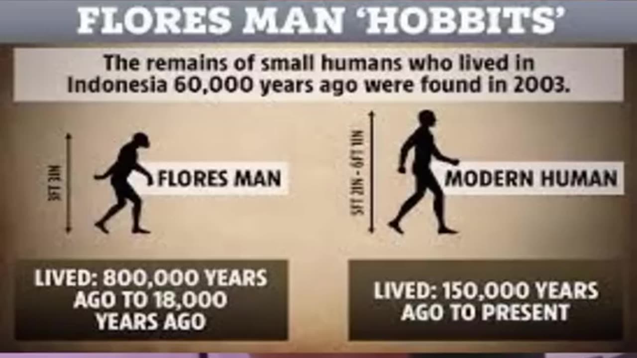 Joe Rogan Talks About Tiny Human Spicies Known As The Flores Men #shorts #joerogan #jre #jreclips #j