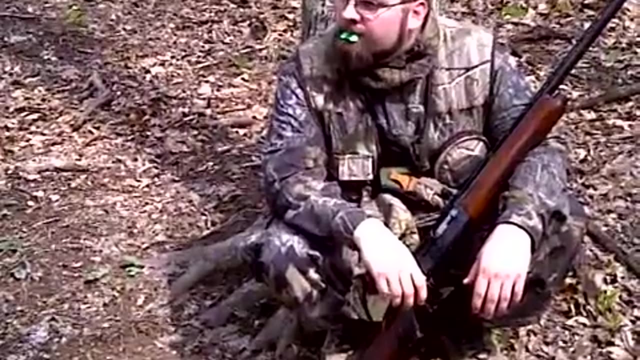 A Little Turkey Calling