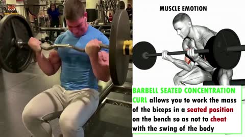 6 ways of making bicep that you never do at gym