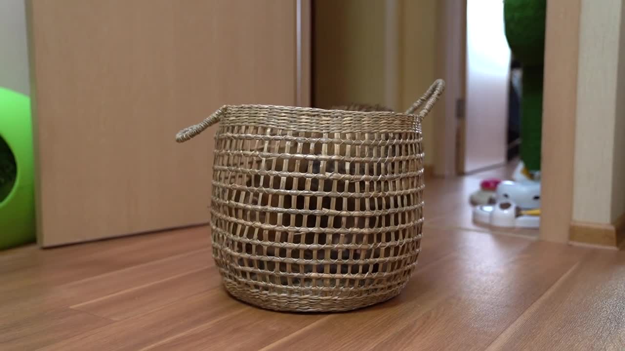 You must put the ball in their basket
