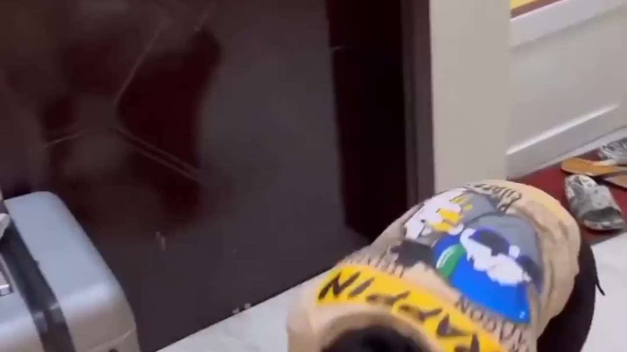 Absolutely no 💯 👎 || Johar Shah Vlog