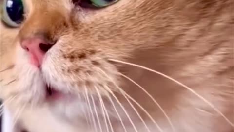 Greetings