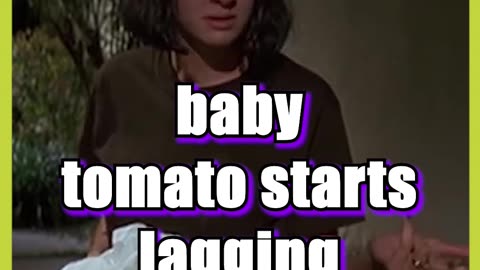😂🍅Pulp Fiction Tomato Joke🍅😂
