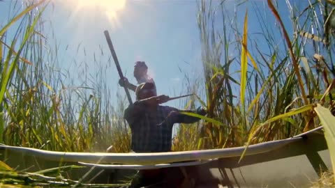 Seed: The Untold Story (Documentary)