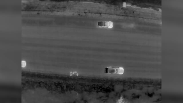 BUSH WHACKED: Police Officers Using Drone Catch Car Thieves Hiding In Thick Shrubbery