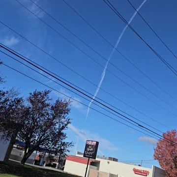 Bellingham wa Nov 5th 2024 @ 11:57am