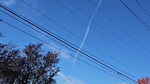 Bellingham wa Nov 5th 2024 @ 11:57am