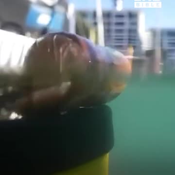 This sea cleaning device filter rubbish from the ocean