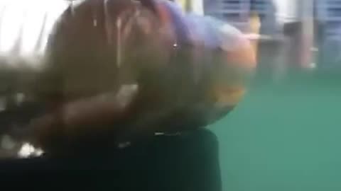 This sea cleaning device filter rubbish from the ocean