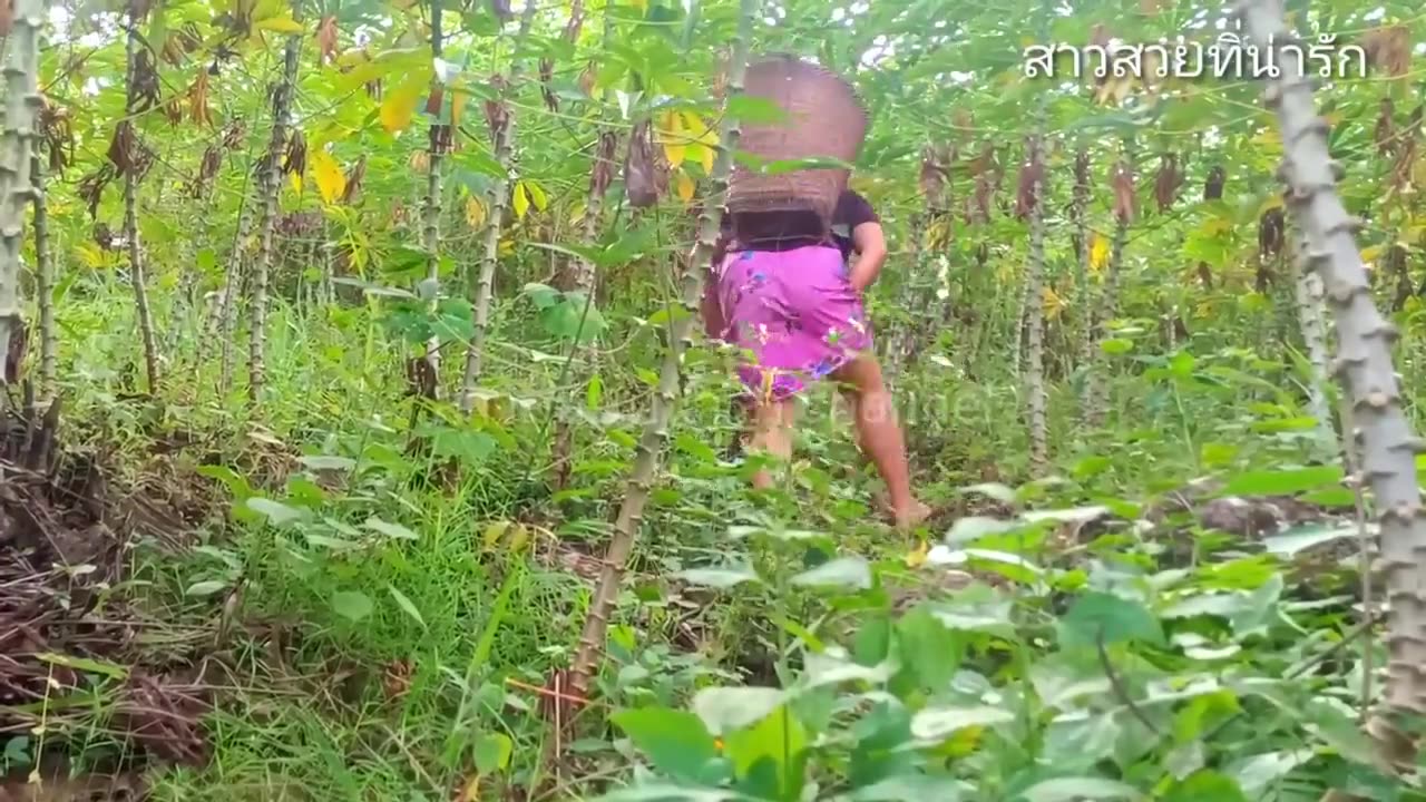 ມຶ້ນິ້ນ້ອງພາທຸກຄົນນຳນ້ອງໄປກີນມັນຫວານແຊບຫຼາຍ
