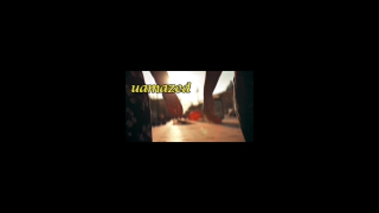 lmd149.mp4