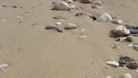 Море