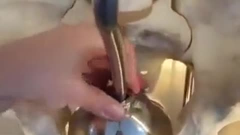 The difference between make and female bodies