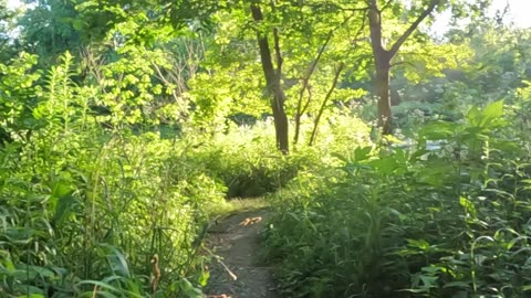 Visit home: Hike and Bike '18 Mile Creek' through the Town of Evens and Lake View NY