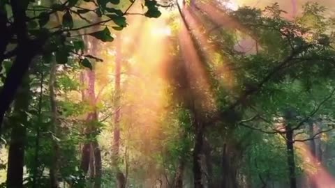 Adventure through nature