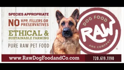 Does Your Pet Have Allergies - Maybe It's Leaky Gut!