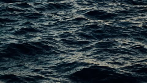 calm wave life