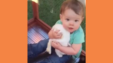 Cute baby playing with cats