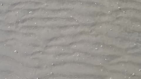 sea. Bandarabbas