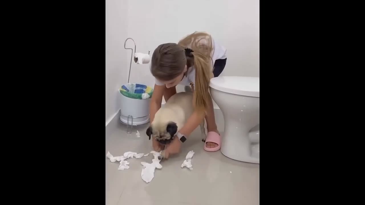 Cat funny video 😅