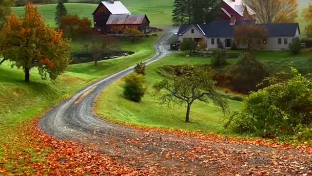 Fall in the Northeast, USA