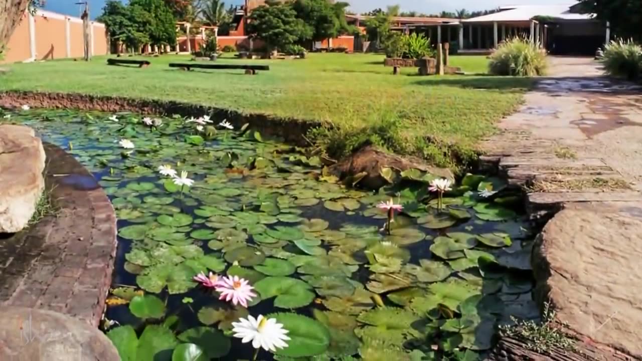 Relaxing Music for Stress Relief! Best relaxing music! Inner peace! Meditation music relax.