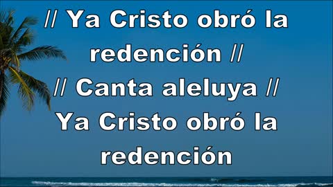 12 - Canta aleluya al Señor