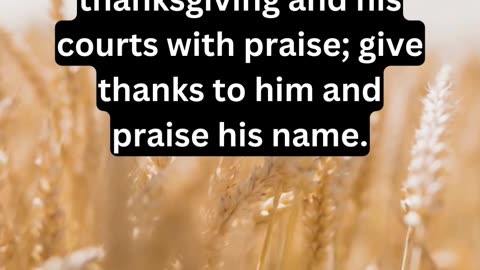 Scripture Verse to Uplift your Day!