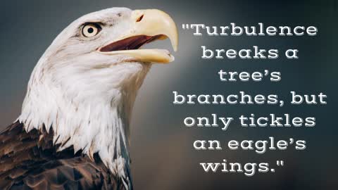 Be an eagle 😎