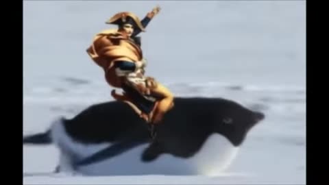 FUNNY ANIMALS DANCE VIDEOS
