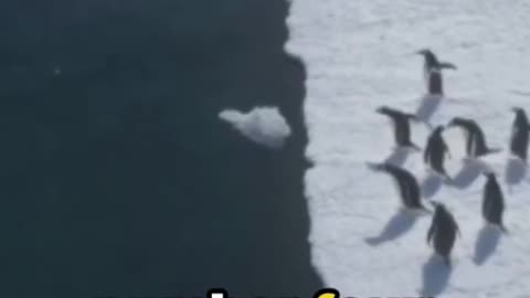 Top 10 facts that you Wont Belive!!!!
