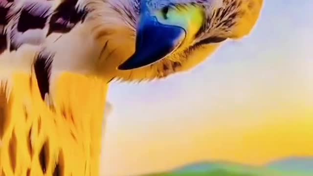 Wild animals zero distance animal world cure department parrot