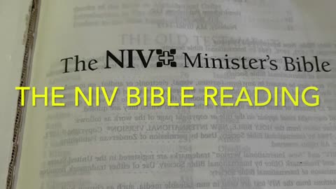 The NIV bible reading: Exodus 39:1-42 and John 21:1-25