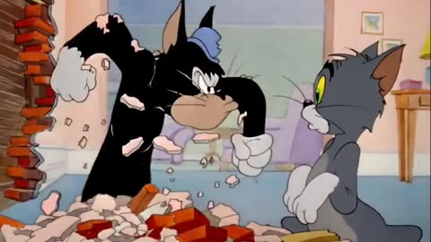 Tom & Jerry Cartoon