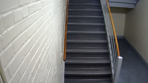 3864FHOB01Stair3_2021-01-05_03h16min52s547ms.mp4