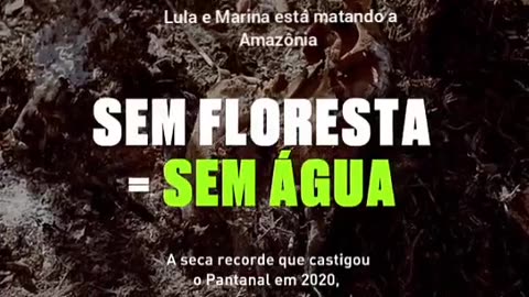 LULA e MARINA ESTÃO MATANDO A AMAZÔNIA.