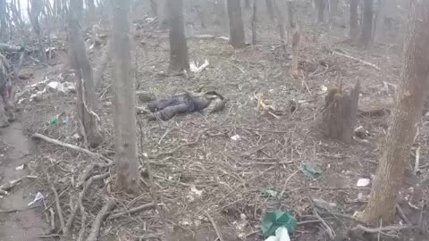 Russian paratroopers conduct raids and get up close to the Ukrainian positions