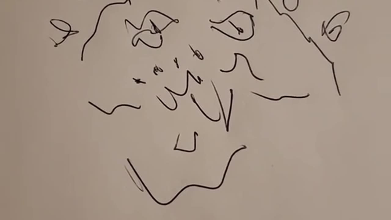 Plans