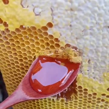 😘 এই স্যাটিসফাইং ভিডিওগুলো আপনার মন ভালো করে দেবে _ Satisfying Video Bangla #satisfying