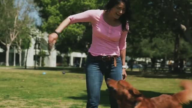 Cute Dog😄cute pats funny video