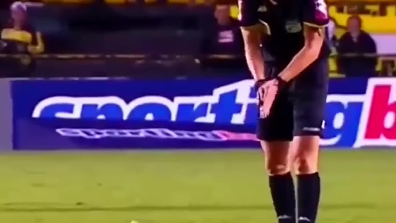 Times when animals come in football