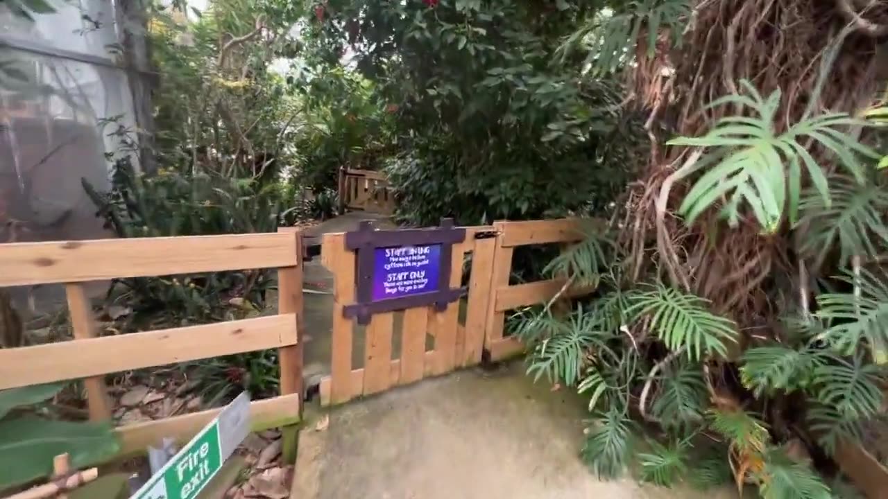 Exploring Swansea Zoo