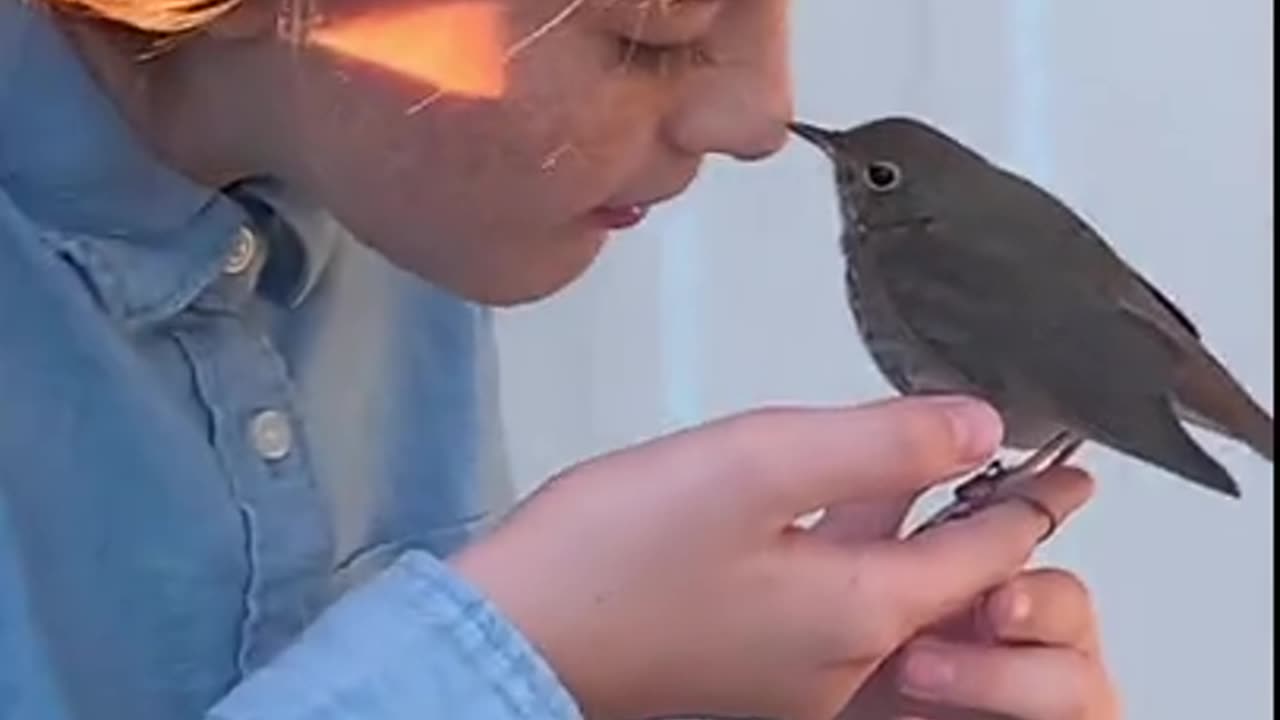 Beautiful Young Girl Sings To Her Bird - HaloRock